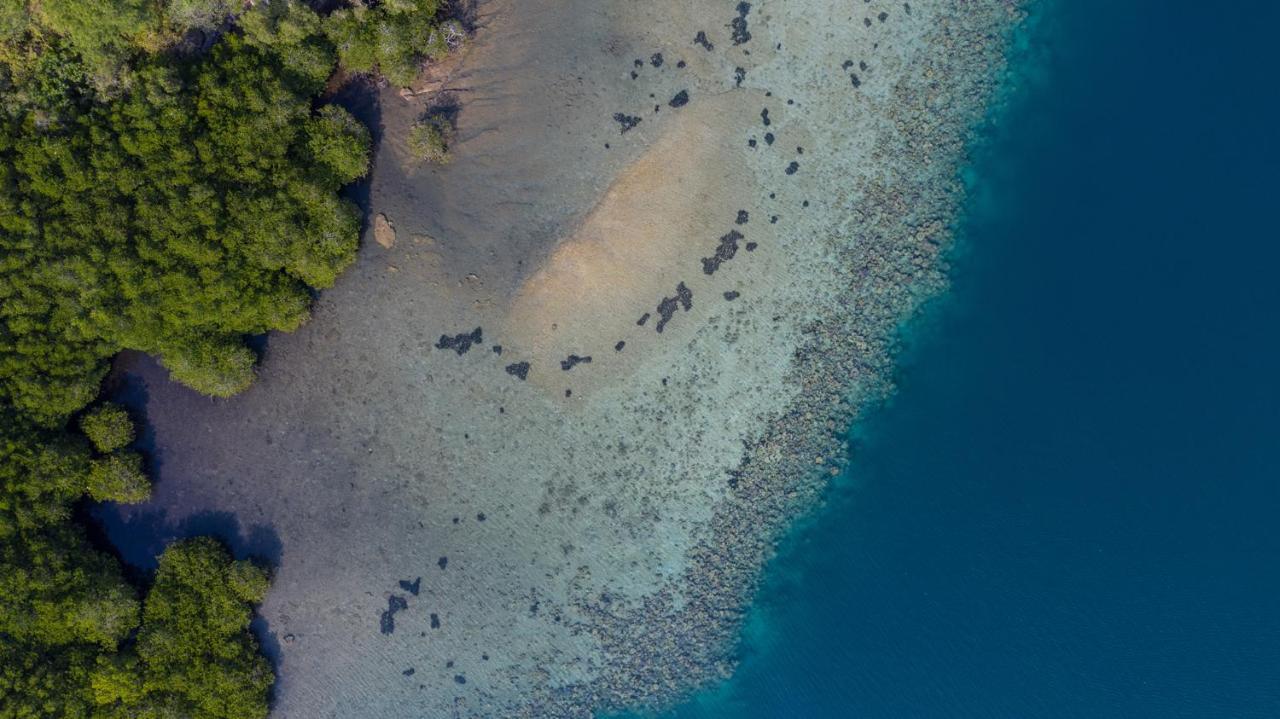 Menjangan Ecolodge - Chse Certified Banyuwedang Екстериор снимка