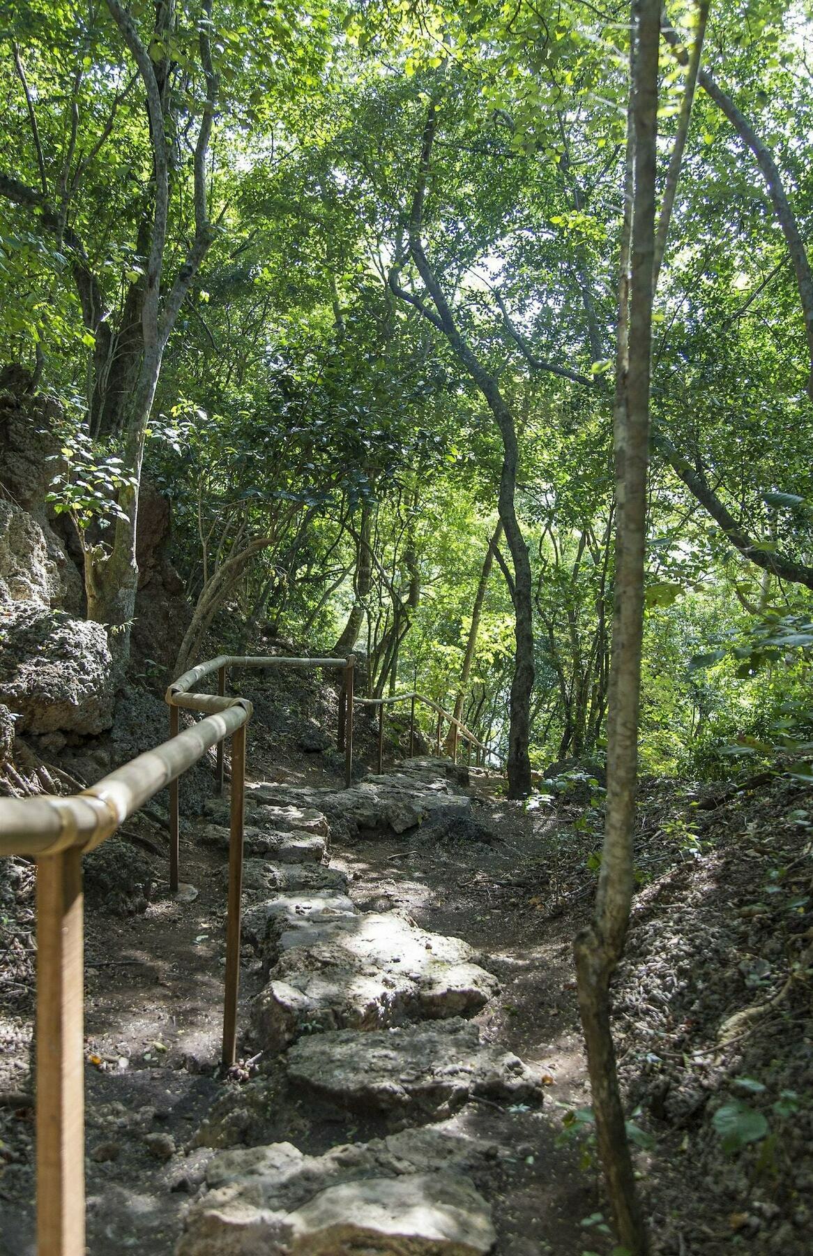 Menjangan Ecolodge - Chse Certified Banyuwedang Екстериор снимка